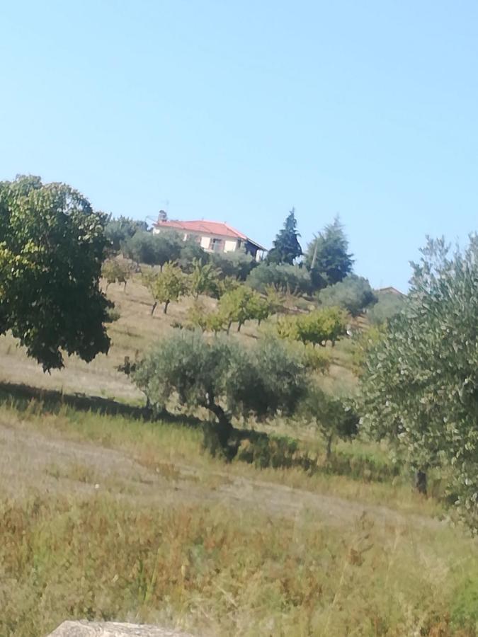 Casa Das Argolas Macedo de Cavaleiros Eksteriør bilde